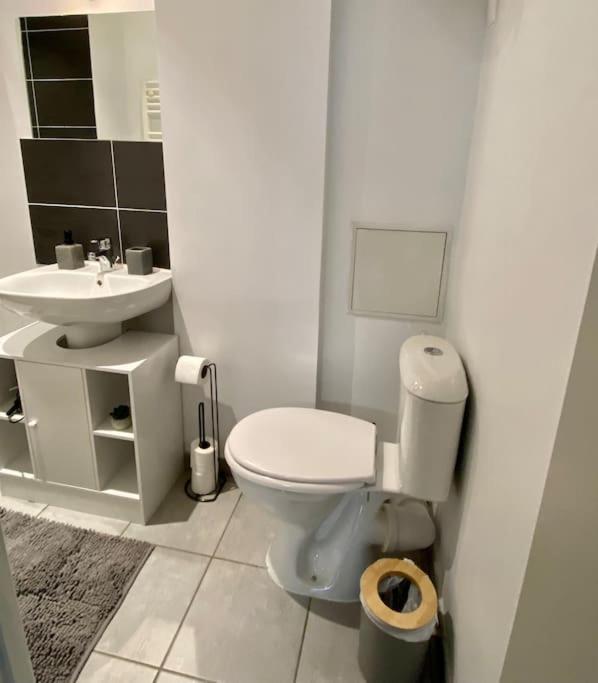 Vaste Appartement Renove - Centre Ville Bourg-en-Bresse Luaran gambar